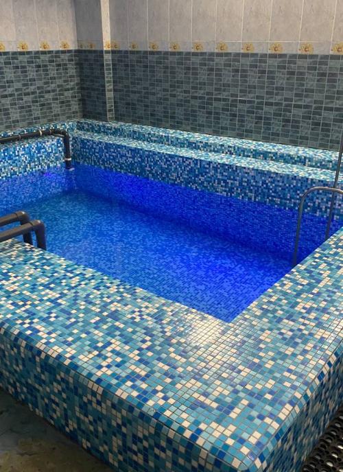 Екі жас аққұбалар үлкен мүшесі сорады